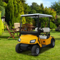 New Fashionable Green Energy China Golf Cart for Sale